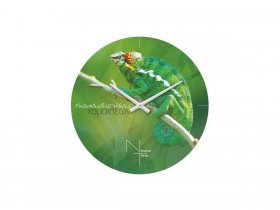 Часы настенные Nicole Time NT503 в Комарье - komare.mebel-nsk.ru | фото